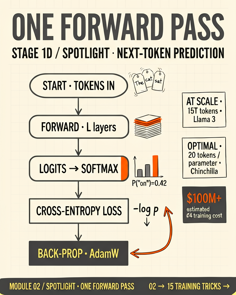 Pretraining spotlight illustration