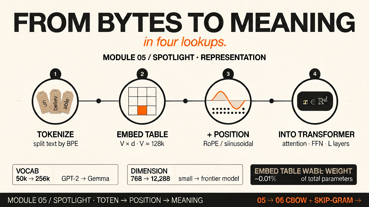 Embeddings spotlight illustration