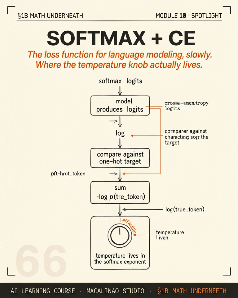 Softmax + CE spotlight illustration