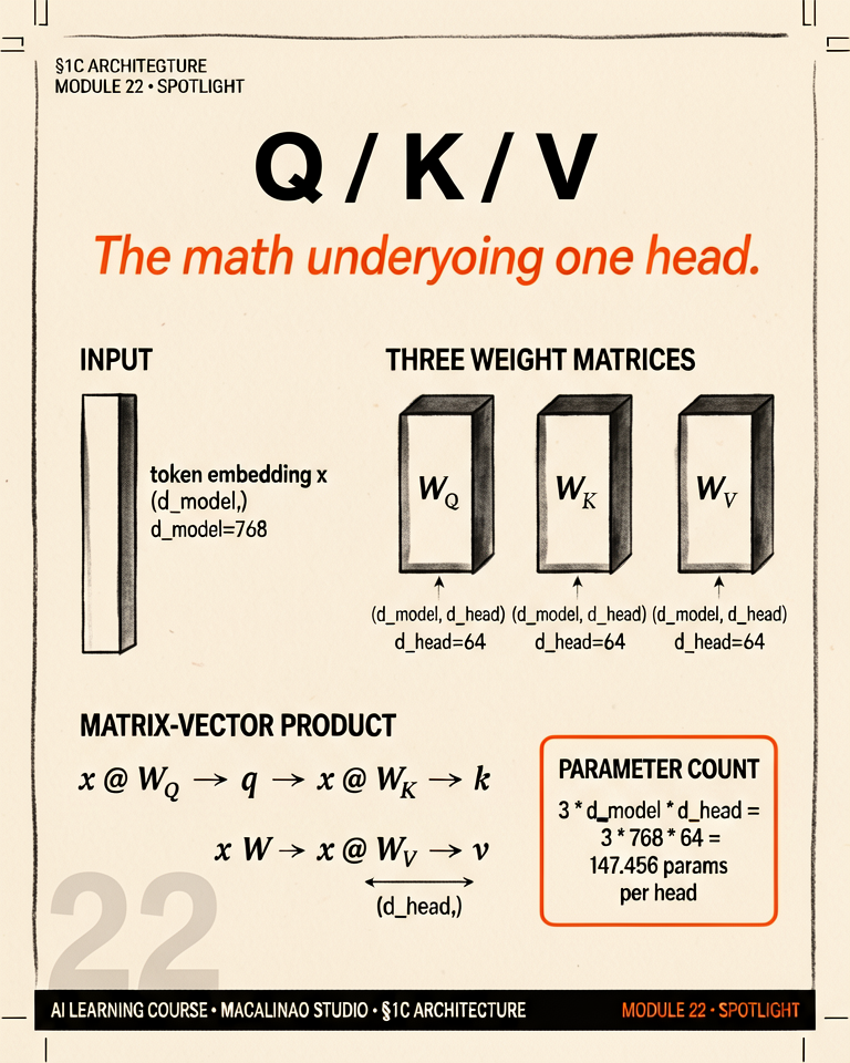 Q / K / V spotlight illustration